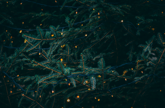 The Northeast Gift Guide