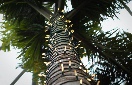 The Southeast Gift Guide