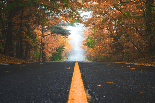 Our best fall trips per state