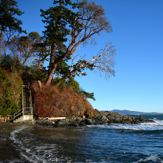 Clear blue sky above rocky beach.