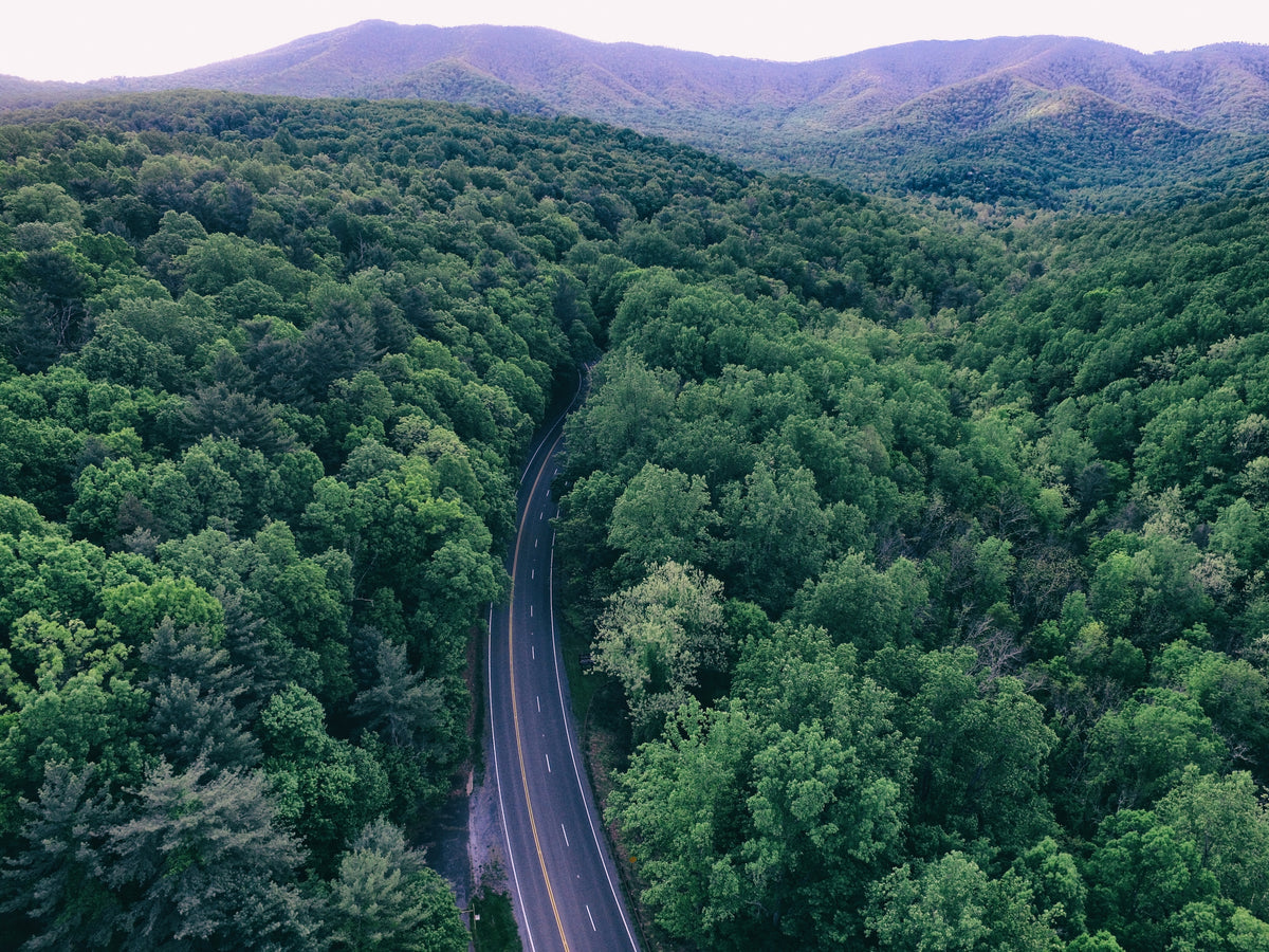 Aerial view of a road winding through a green forest.