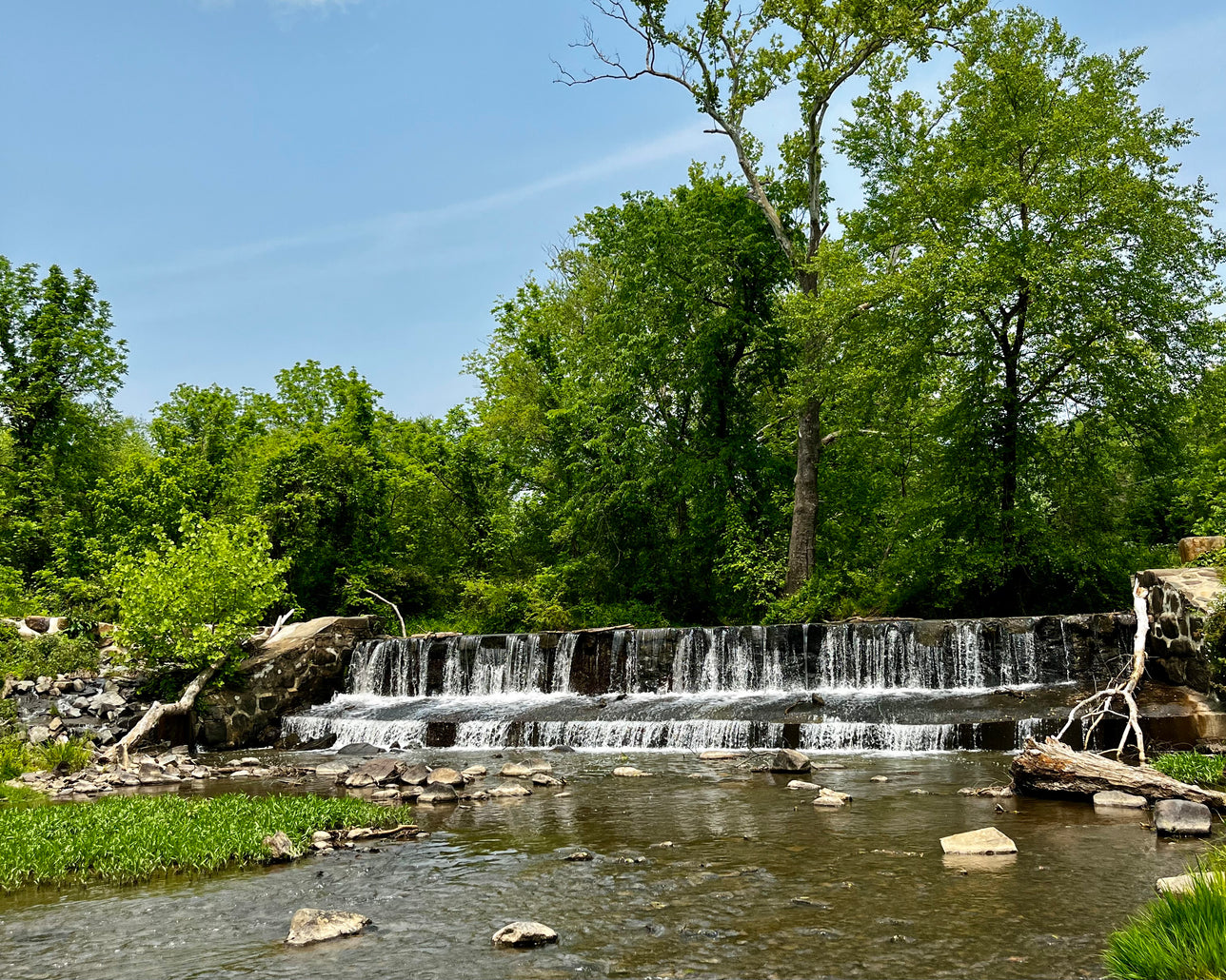 A small waterfall over a dam in a leafy park.