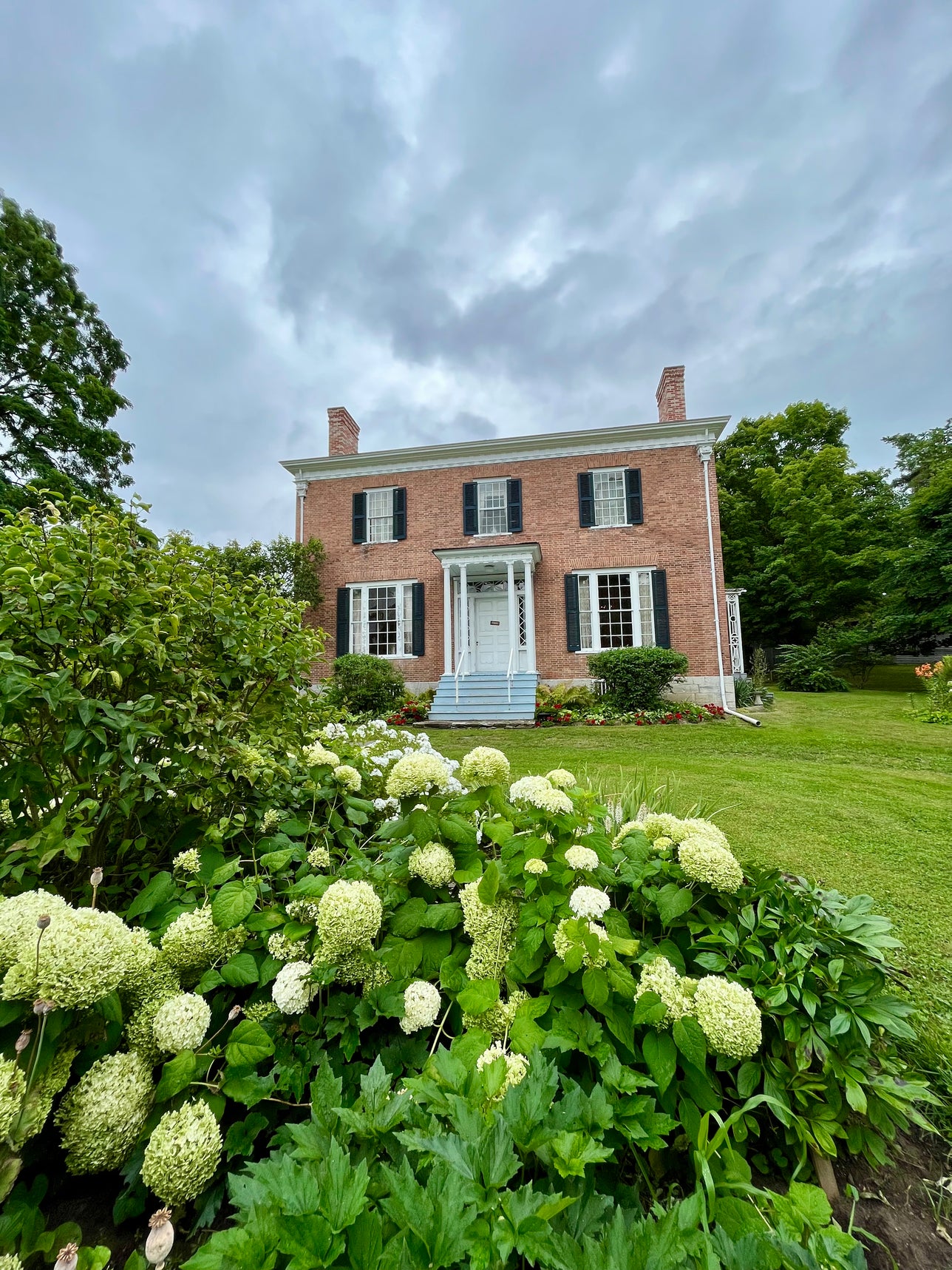 A historic brick house with white hydrangeas.