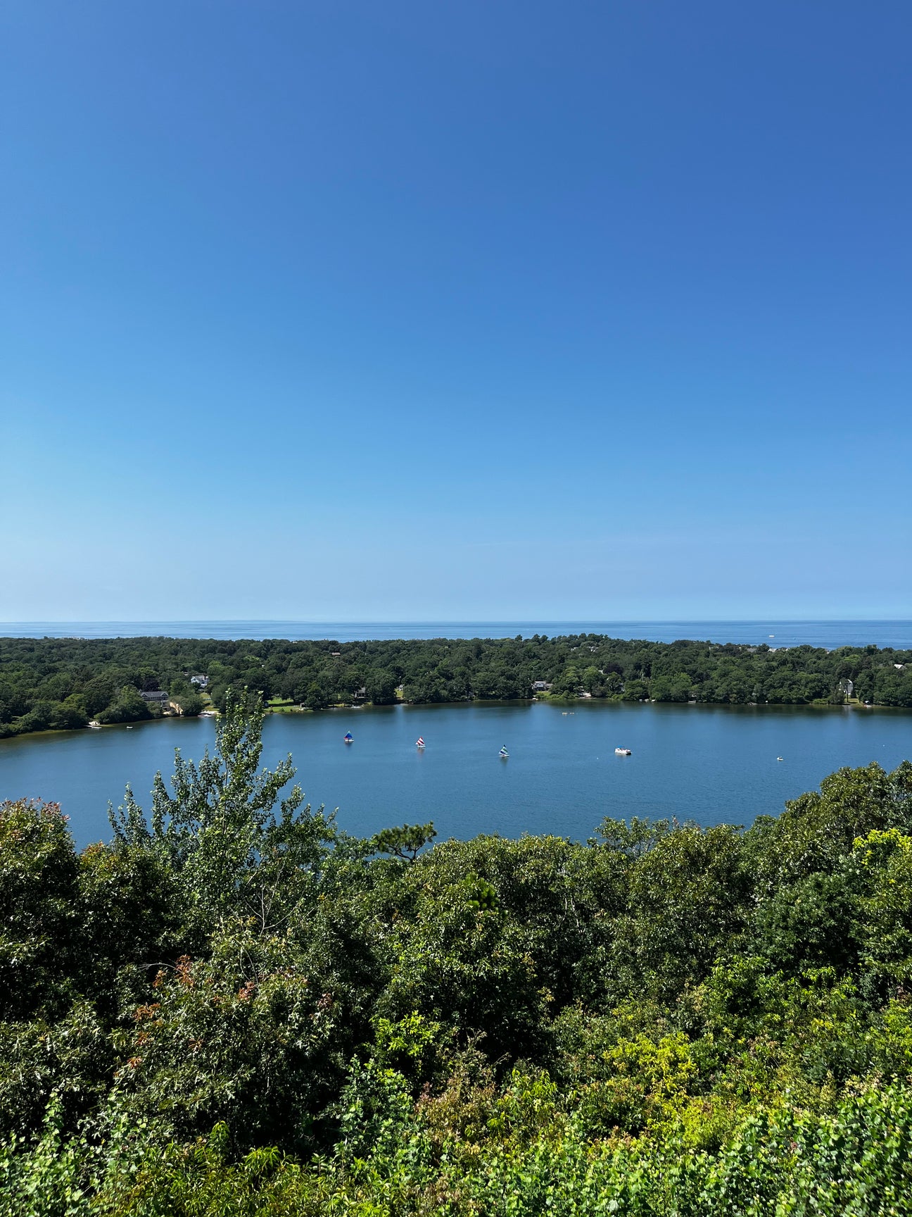 Escape to the Cape