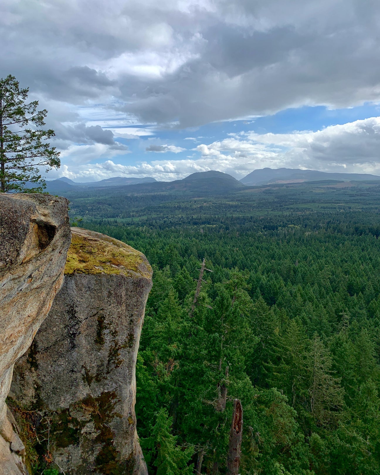 Mountain overlooking green forest.