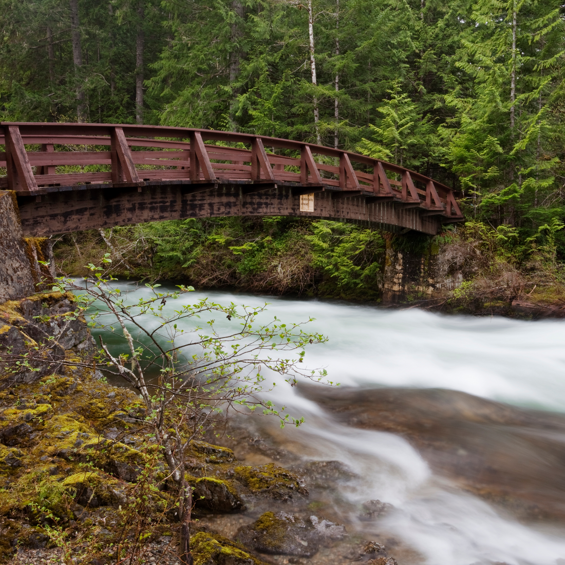 Wooden bridge overtop of moving river and surrounded by forest trees.
