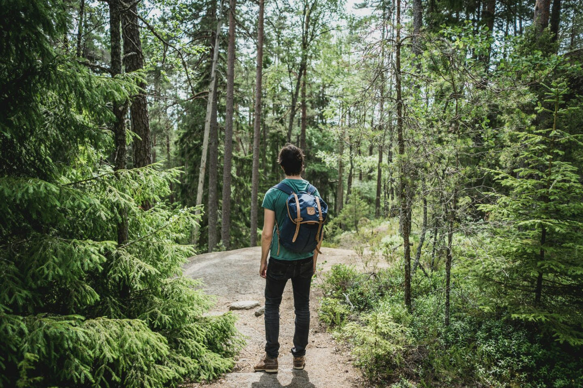 A hiker walking through a tall evergreen forest.