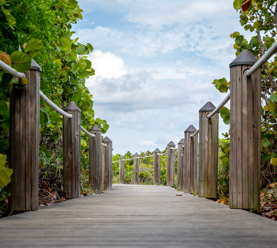 A wooden boardwalk through green trees.