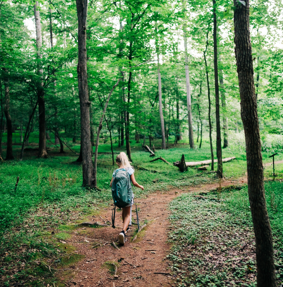 A person walking a forest trail among tall trees.