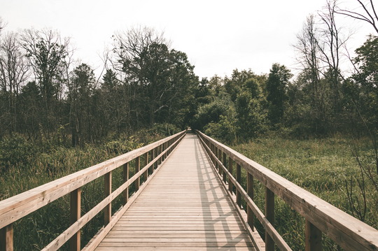 Enchanted Adventures