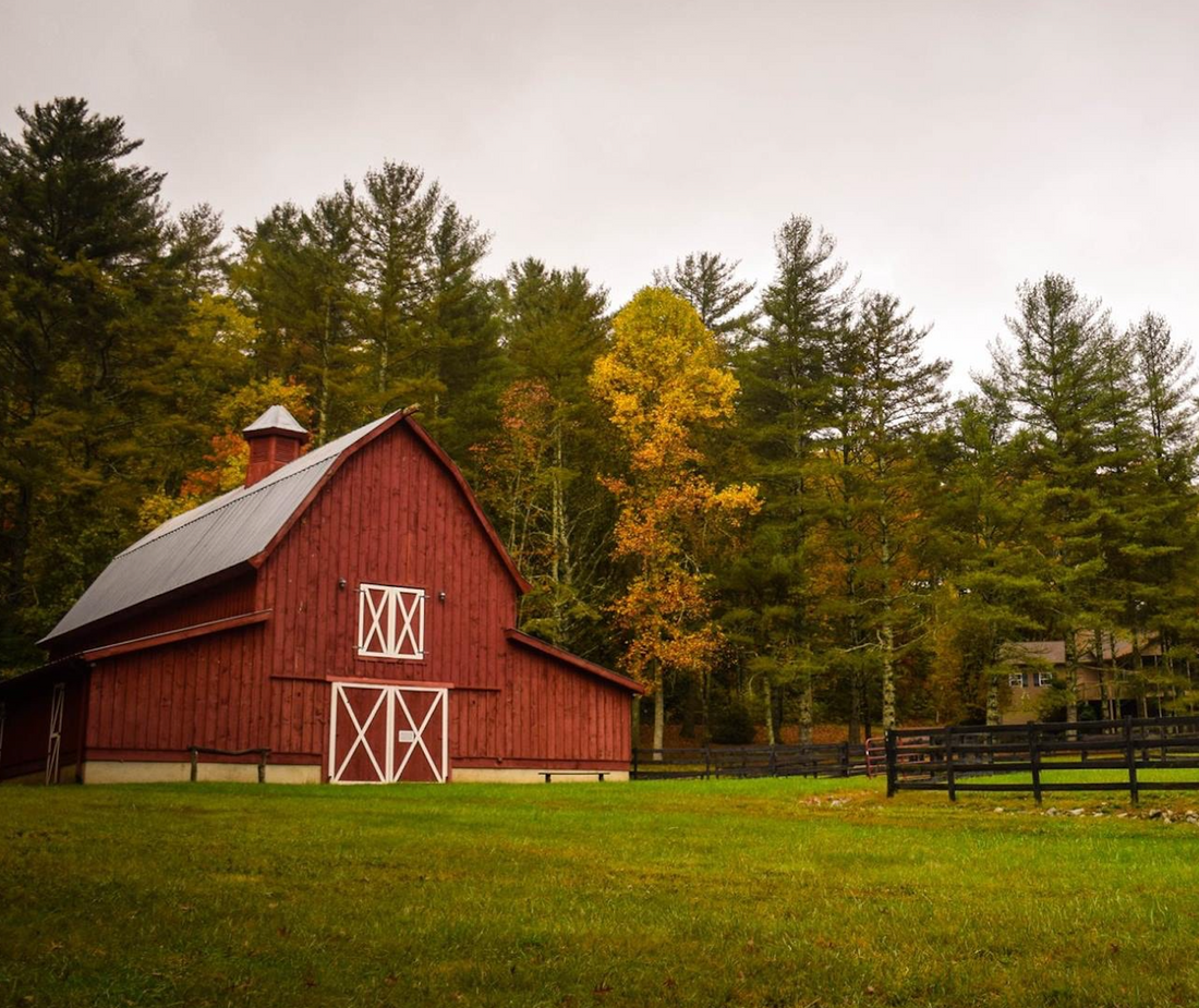 Funky Farms & Storybook Tales