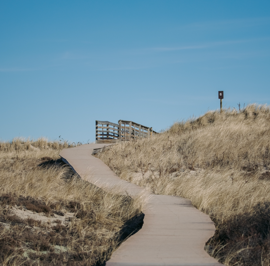 A boardwalk path winding over grassy sand dunes.