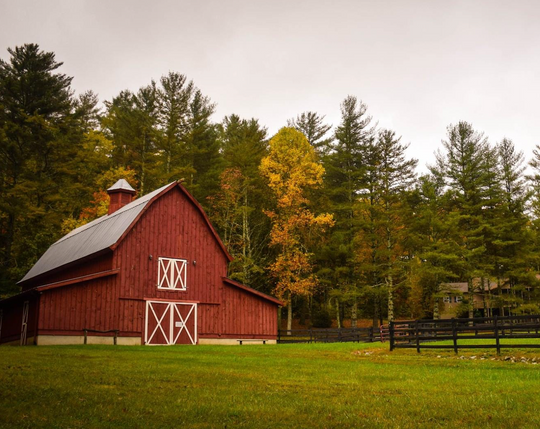 Red barn with trees behind it.