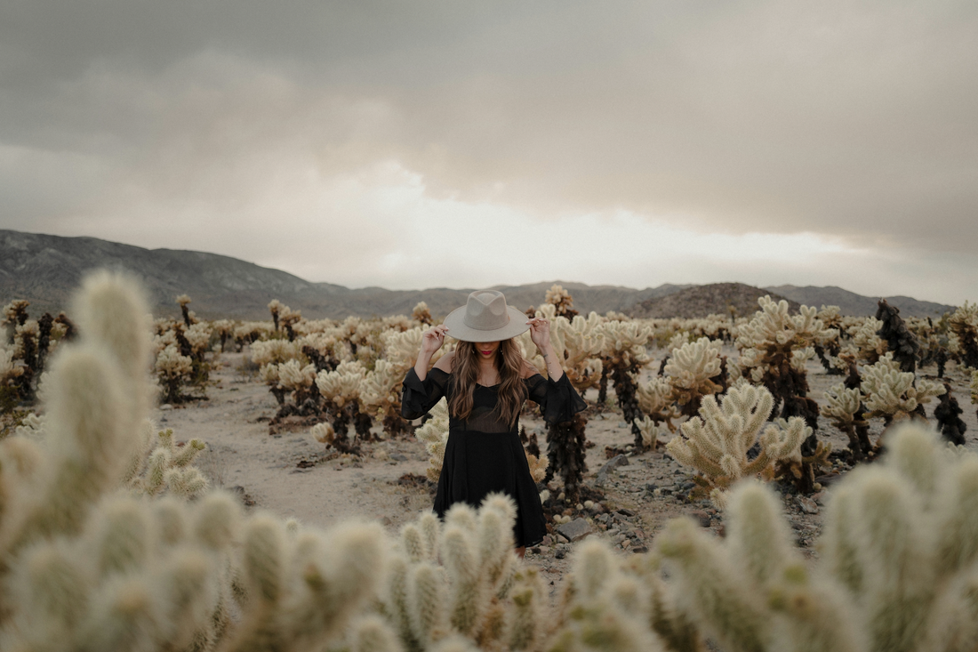 Joshua Tree Journey