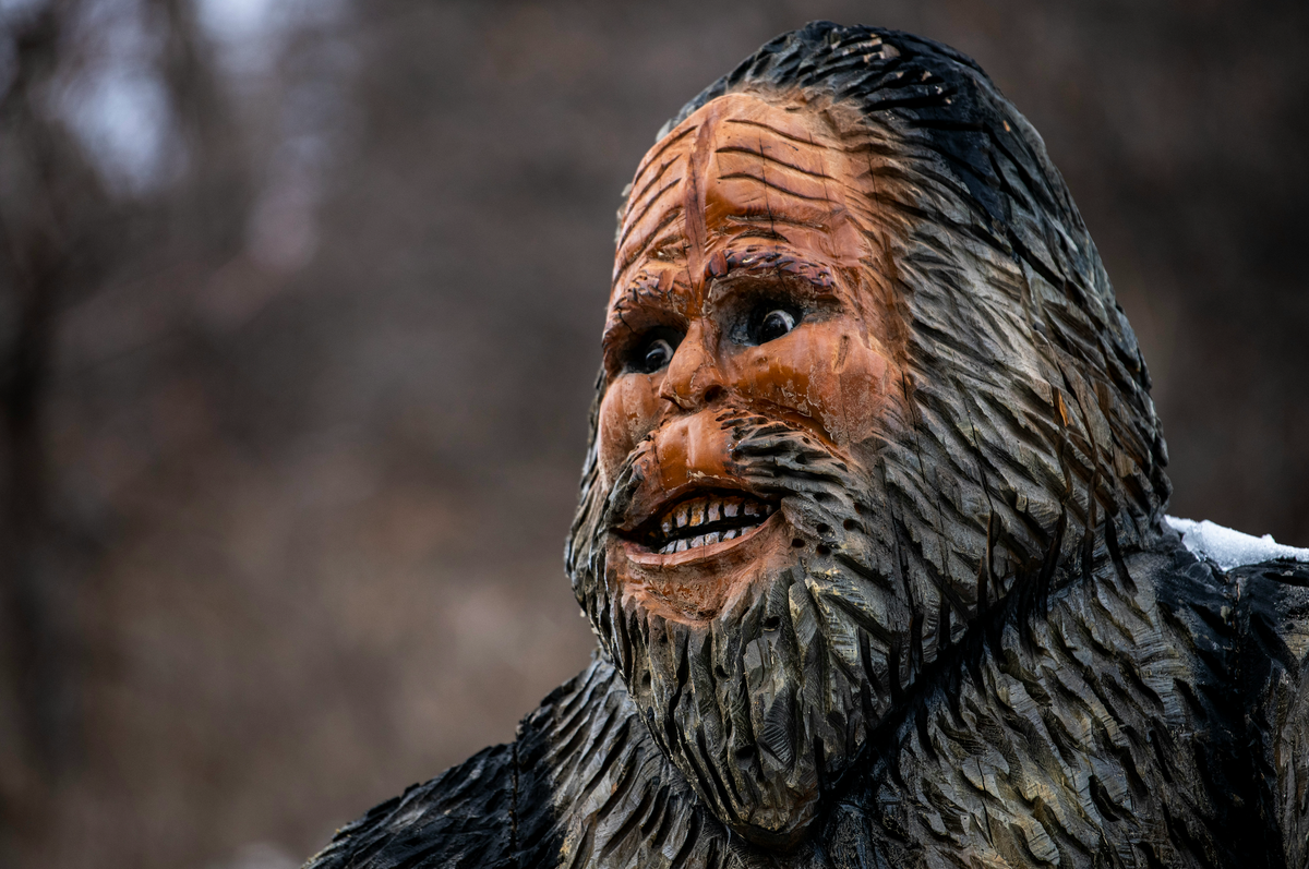 A Bigfoot statue.