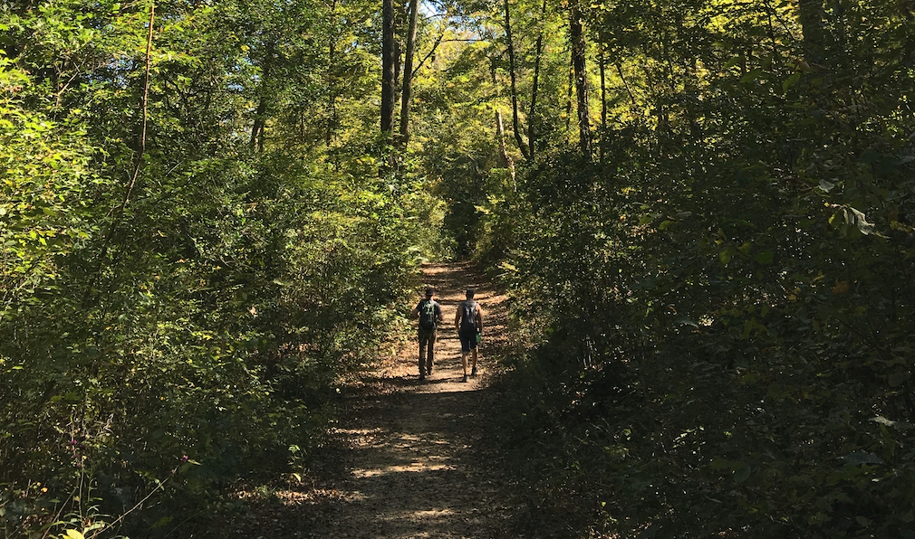 Two men walking along a forest trail.