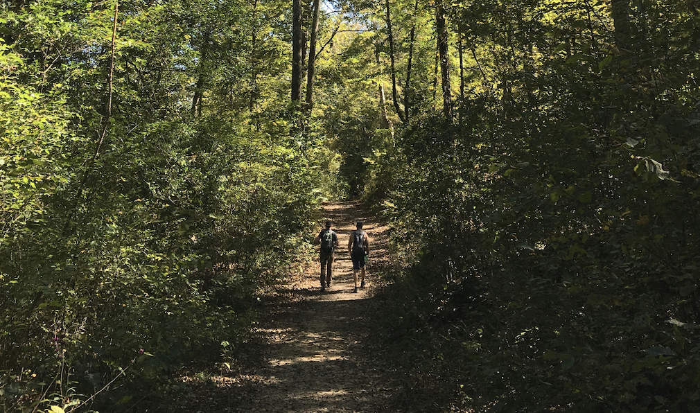 Two men walking along a forest trail.