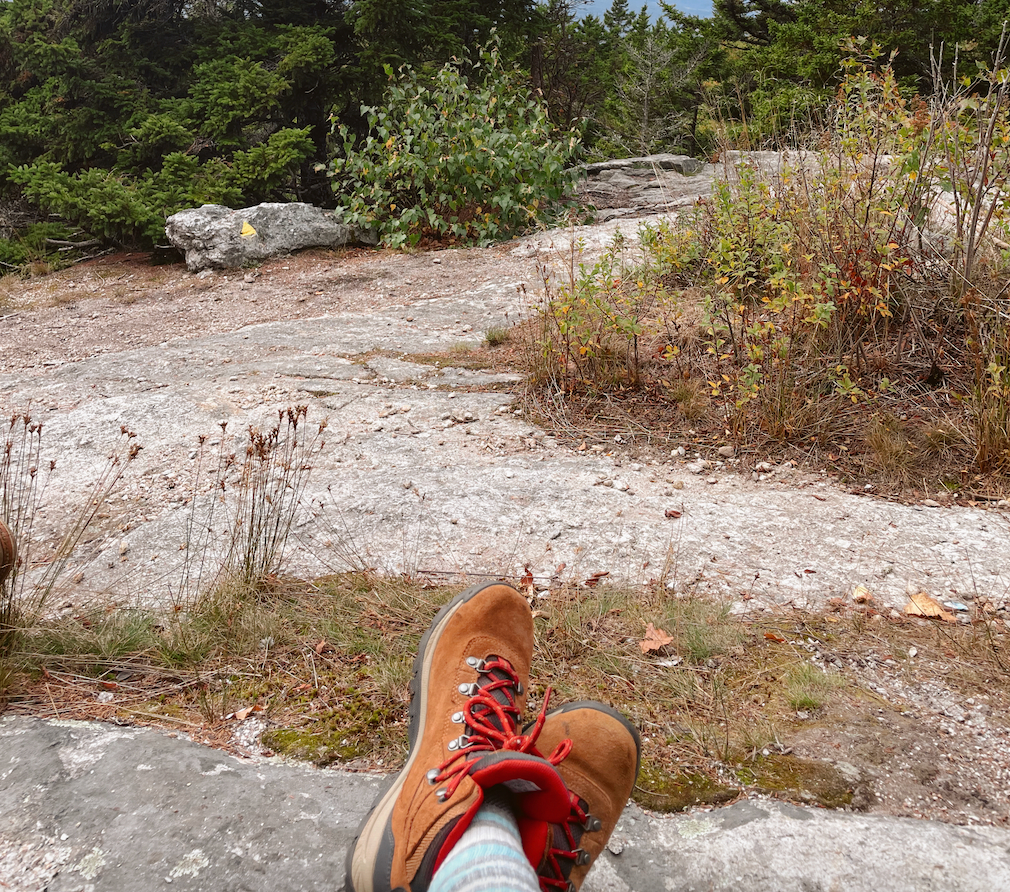 Hiking shoes in front of a forest clearing.