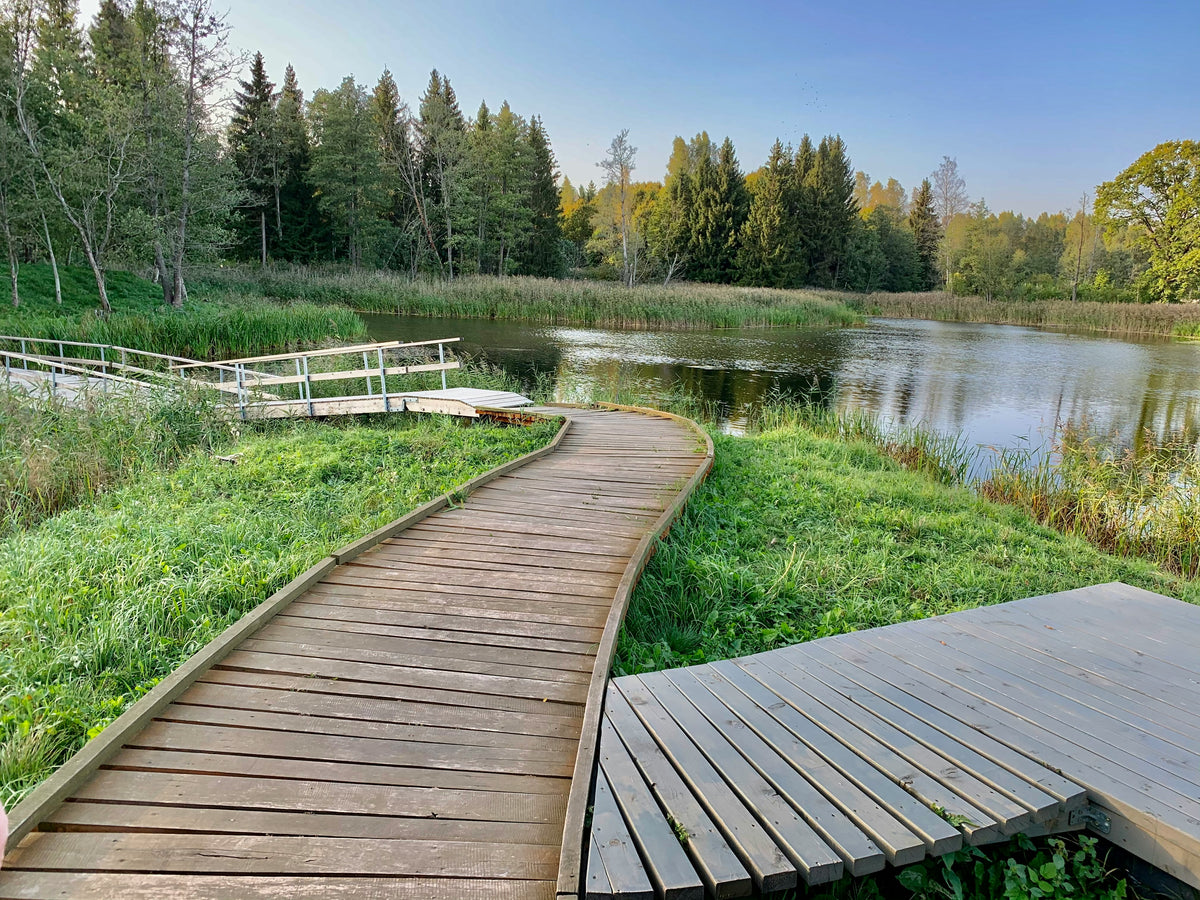 A wooden boardwalk crossing a pond surrounded by trees.