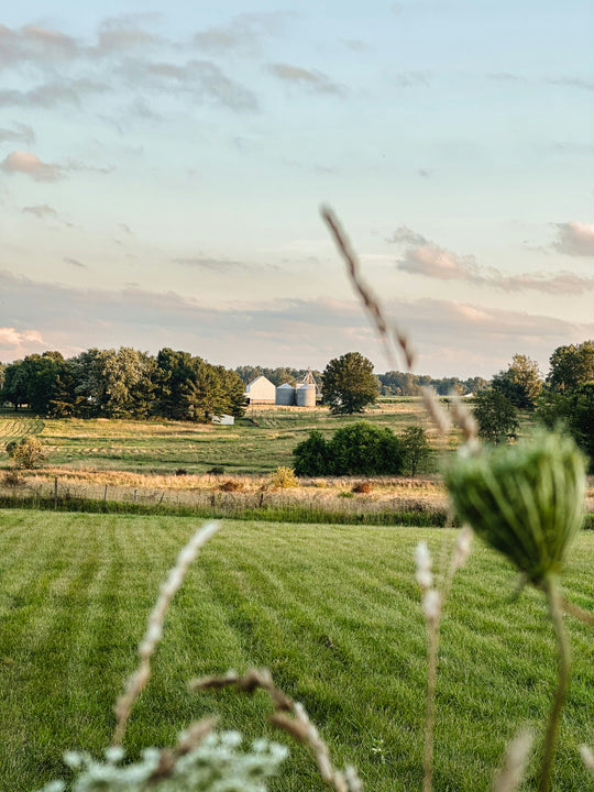 Rivers & Rural Roads