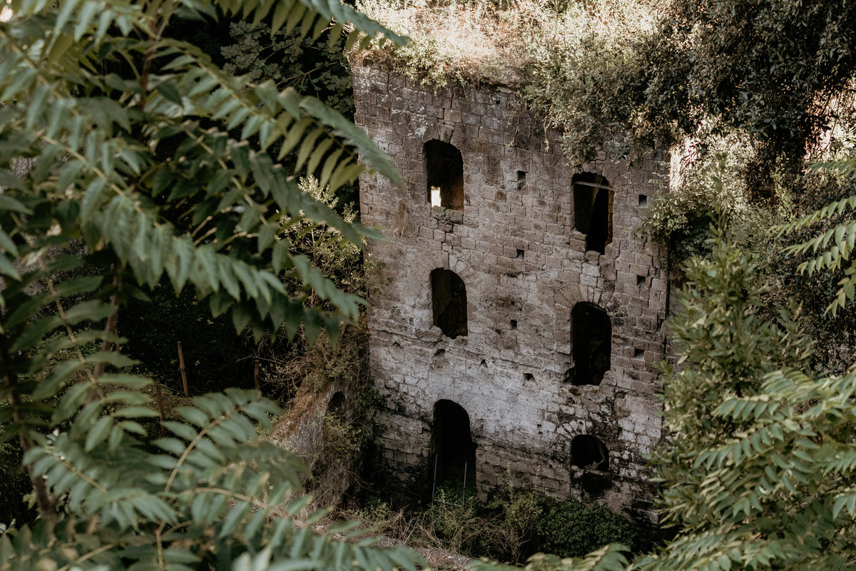Stone ruins of a tower surrounded by ferns.