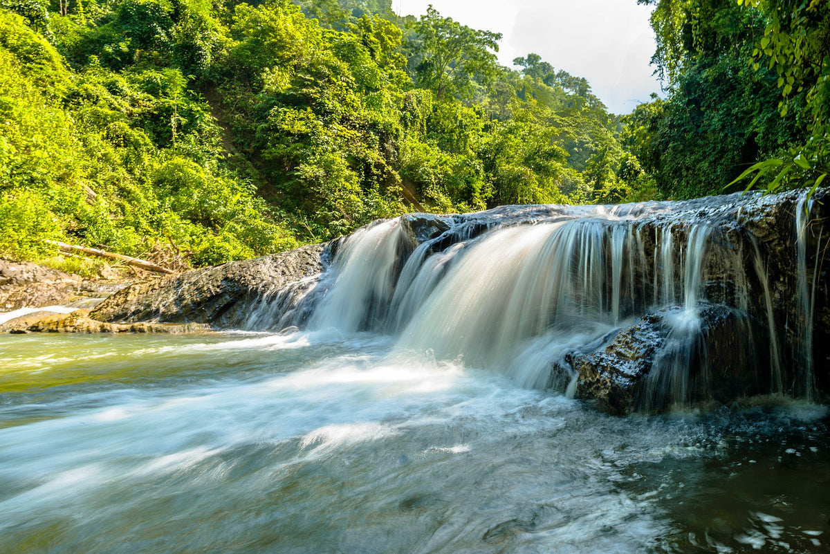 A small waterfall in a green forest.