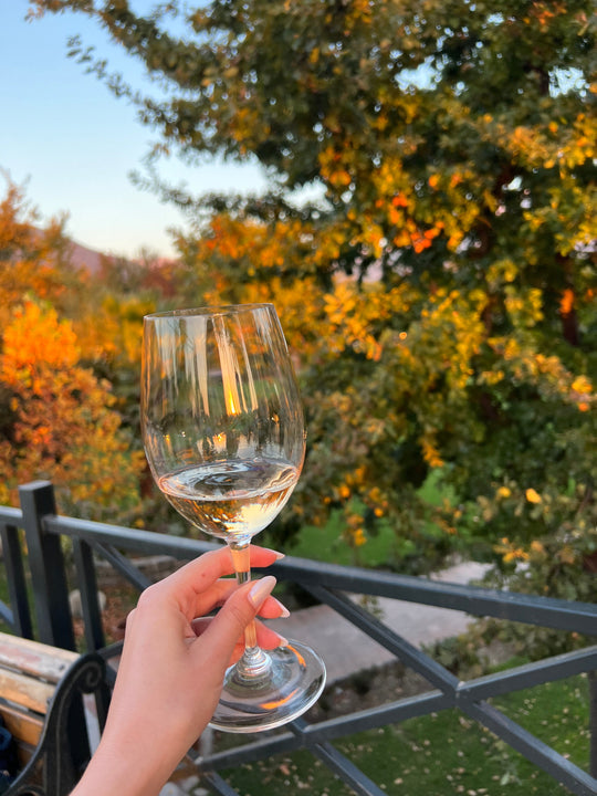 Hand holding a wine glass filled with white wine on an autumn day.
