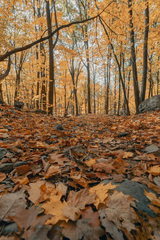 Hudson River Hideaways