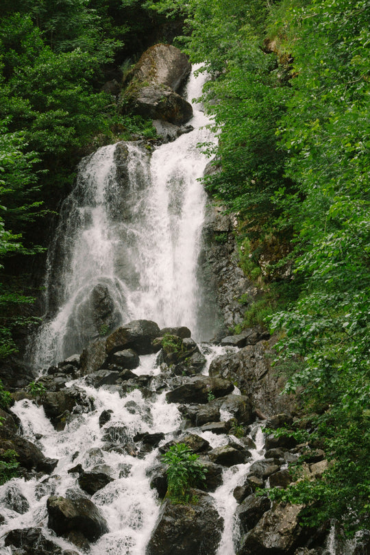 Waterfall in the middle of a forest.