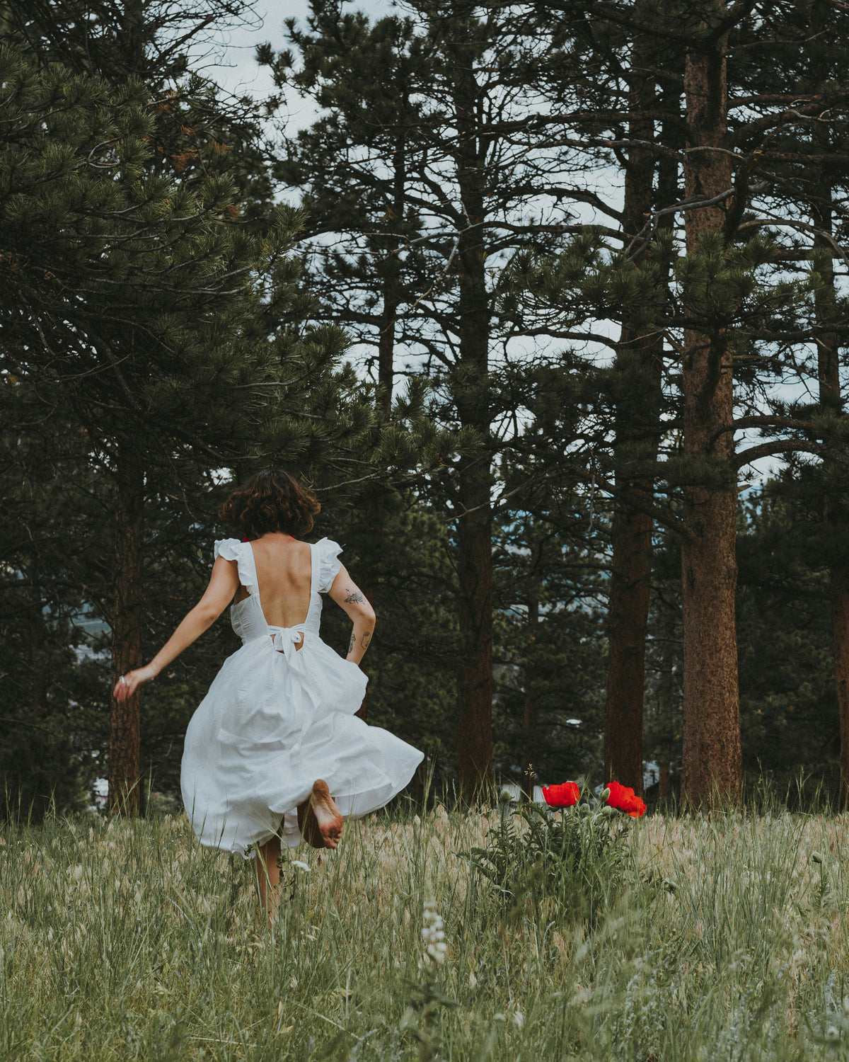 A woman in a white dress walking through a pine forest.