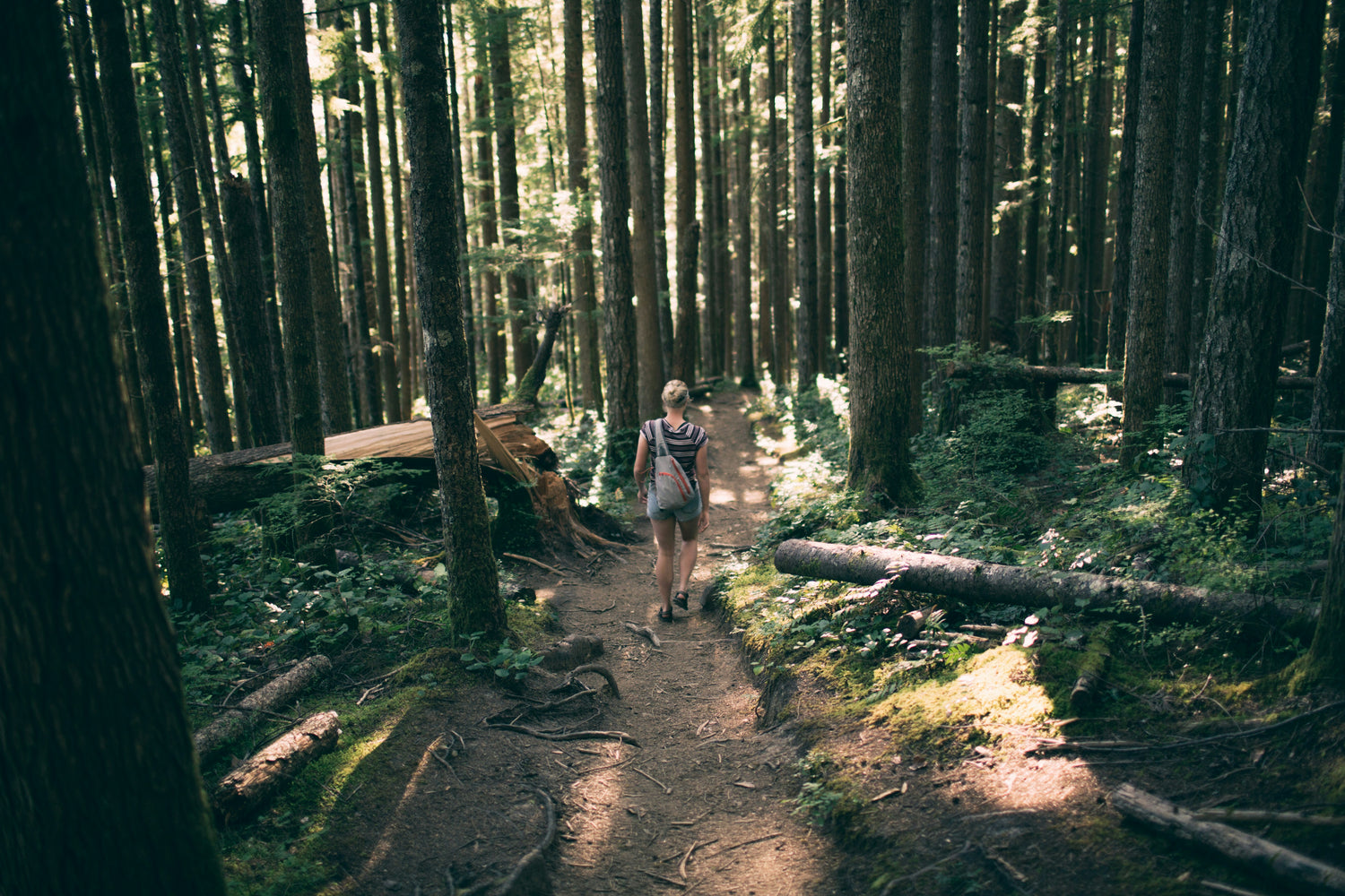 Woman hiking in a forest