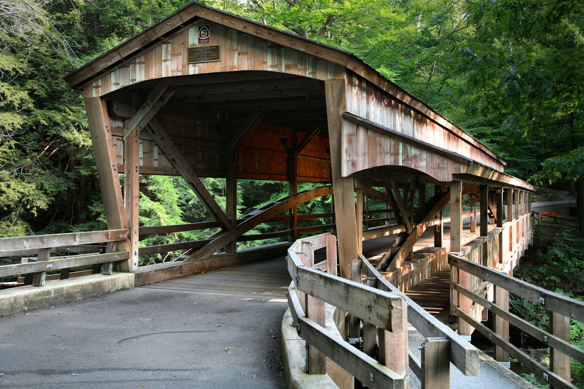 A wooden covered bridge on a forest path.