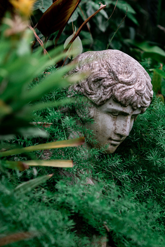 Statue of a head poking through various greenery.
