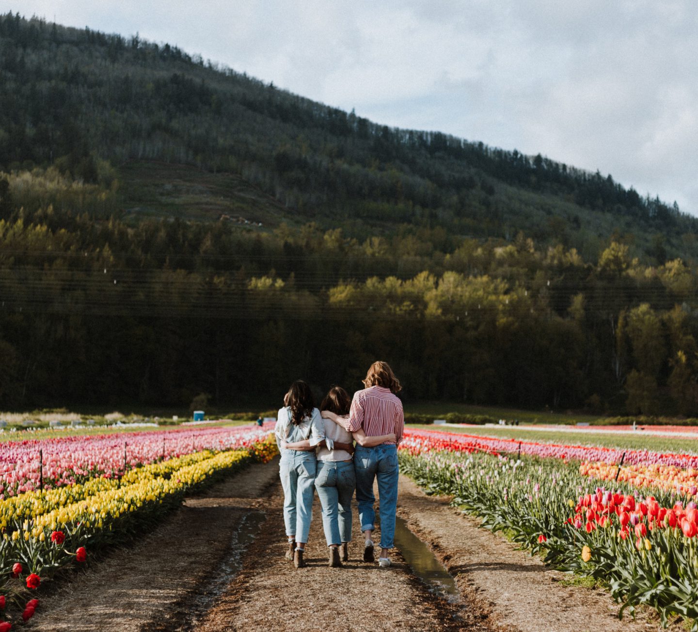 Three women walking through tulip fields