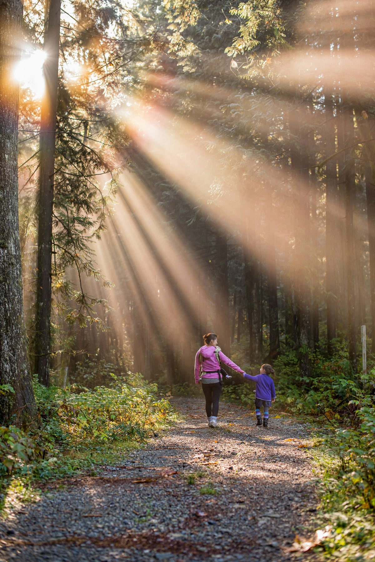A parent and child walking a sunlit forest path.