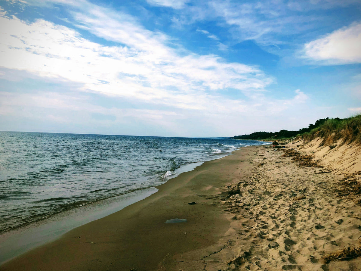 A sandy beach and dunes on a sunny day.