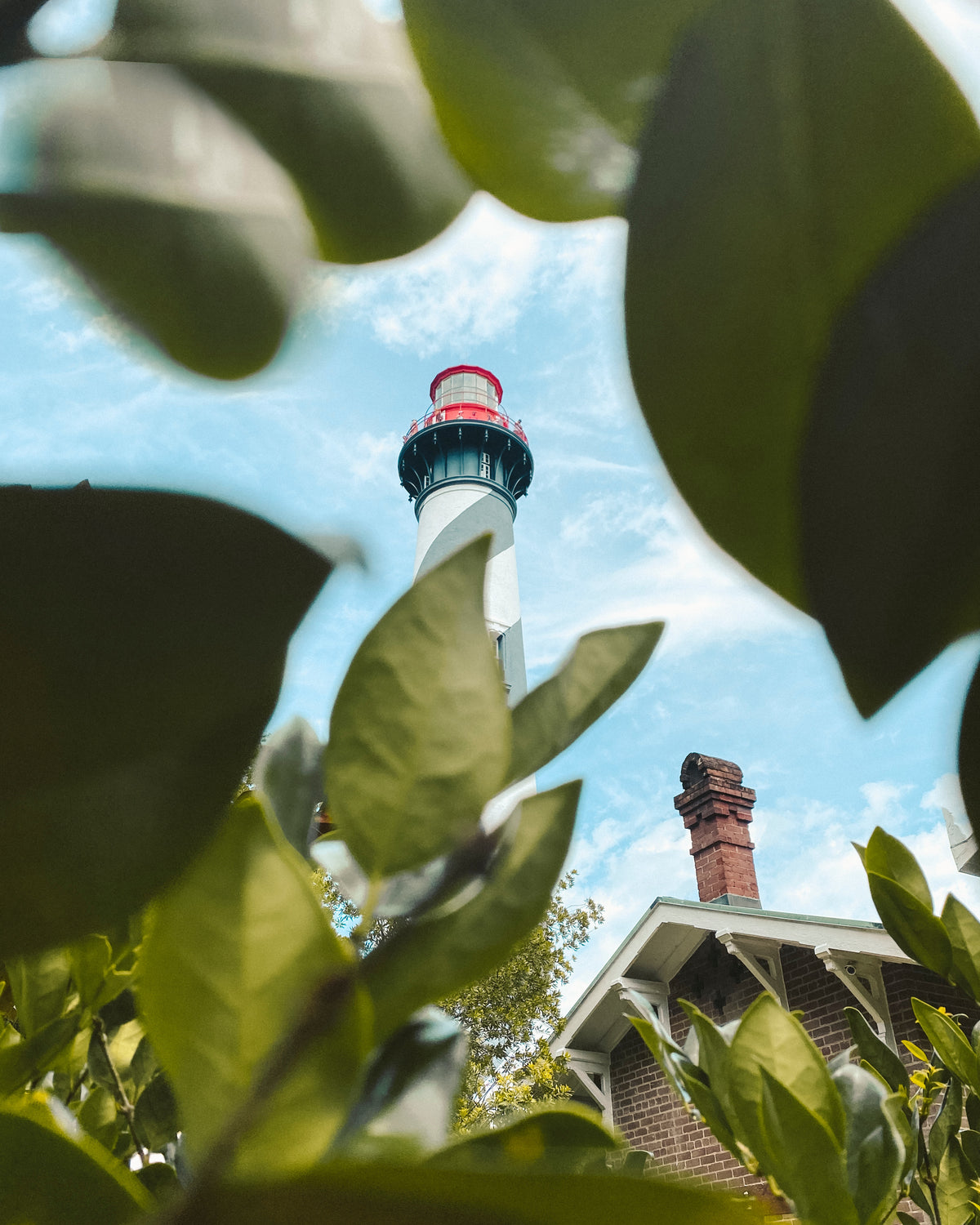 A lighthouse framed by green leaves.