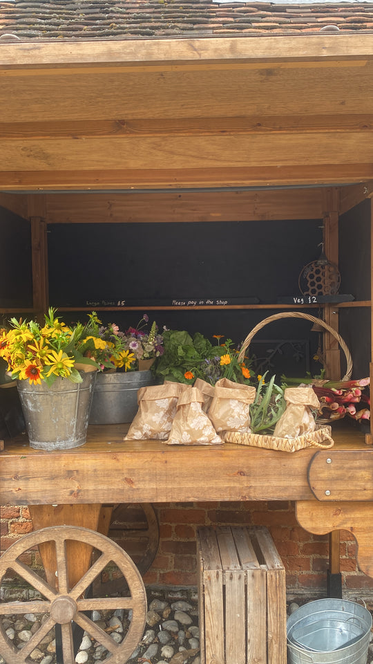 Secrets in the South