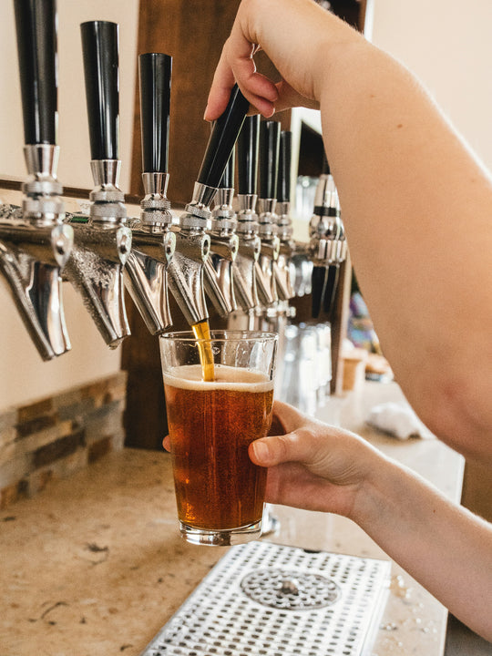 Person filling up a glass of beer at a brewery