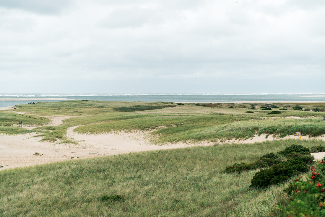Escape to the Cape