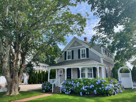 Escape to the Cape