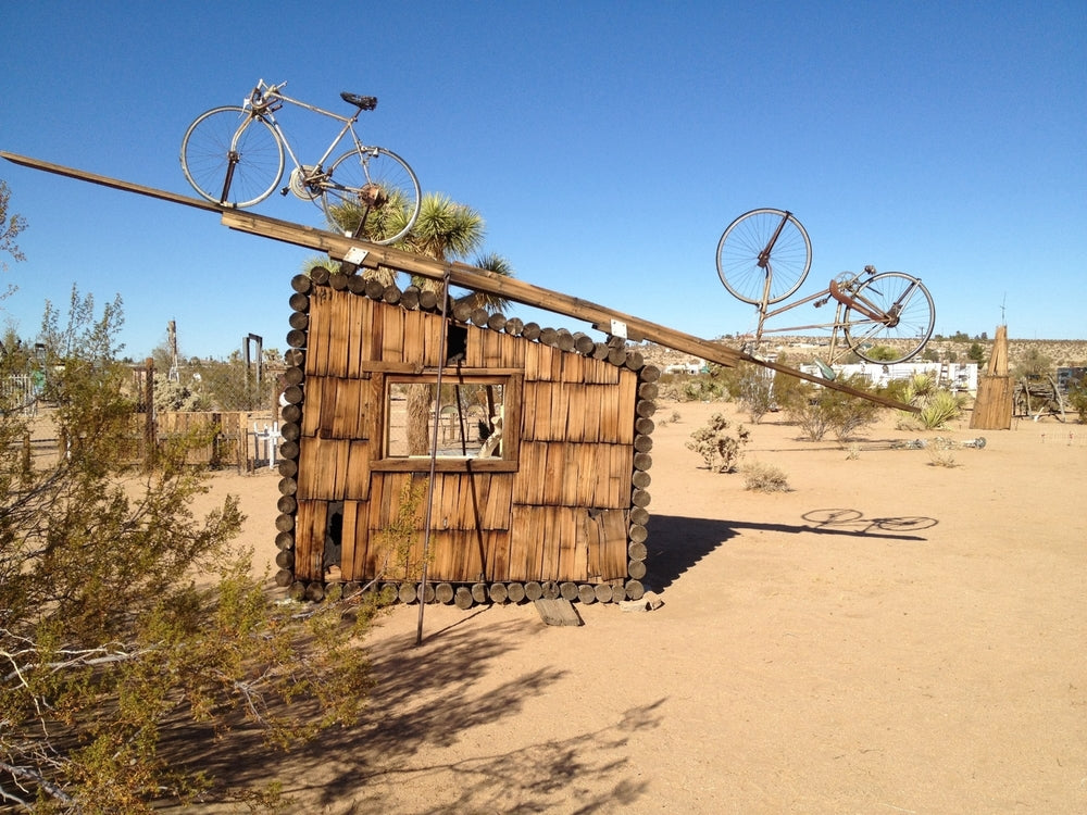 Joshua Tree Journey