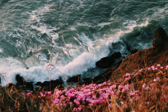 Down by the Bay