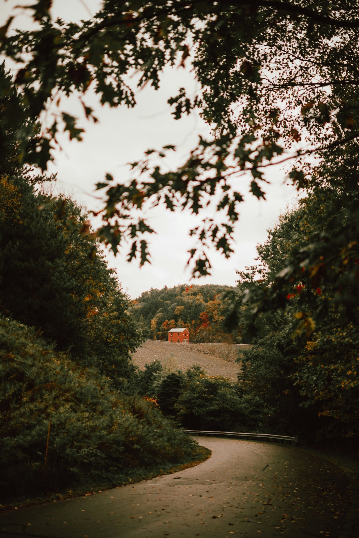 A winding road through trees leading to a red barn.
