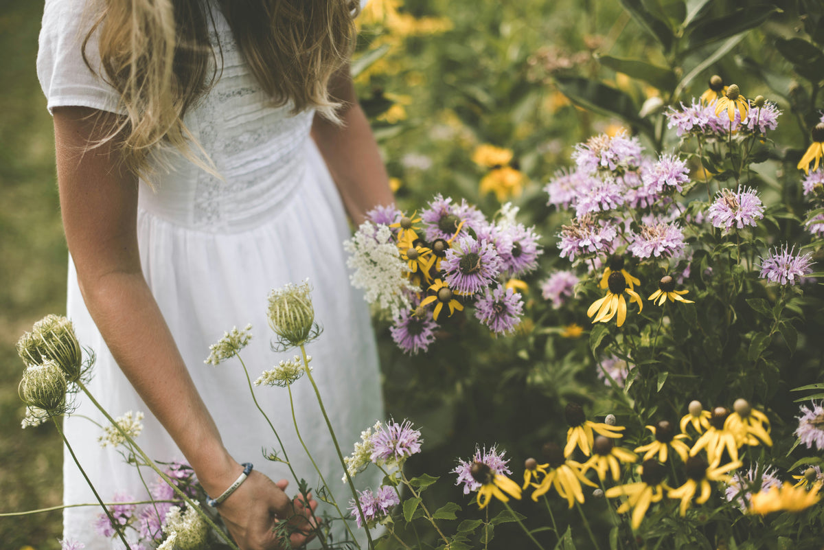 A girl in a white dress picking wildflowers.