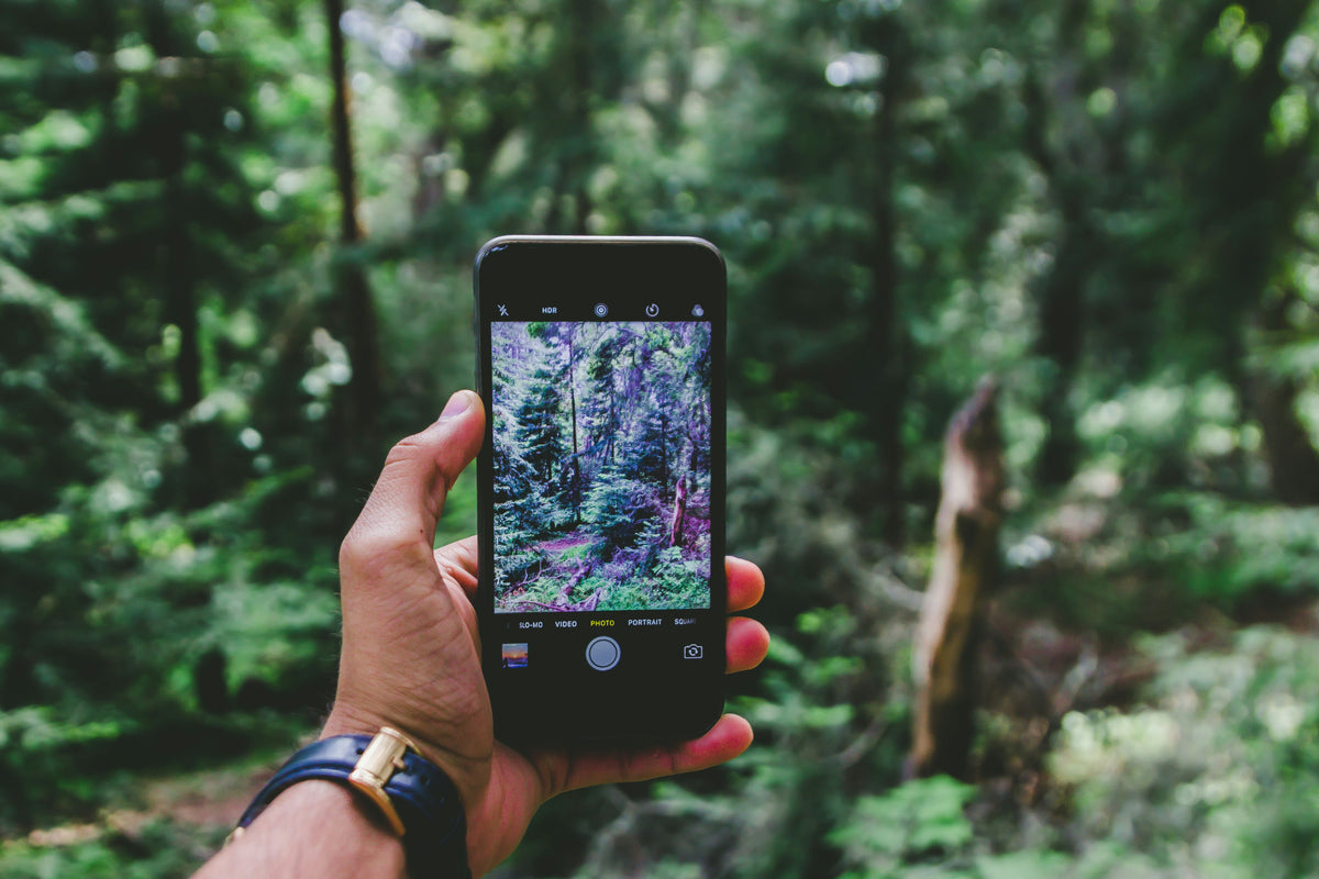 Taking a phone photo in a forest.
