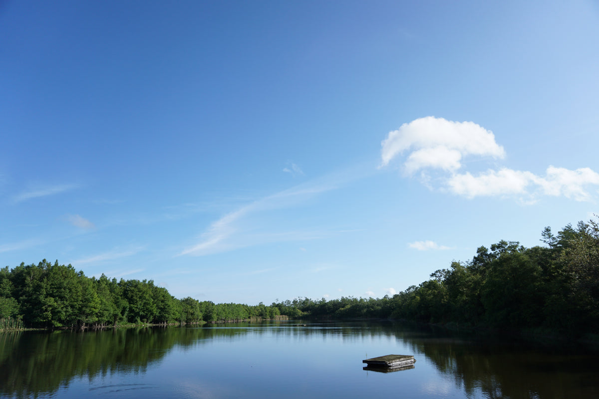 A calm river reflecting trees and a blue sky.