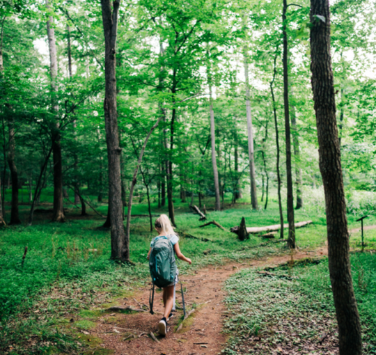 Local Markets and Picturesque Towns
