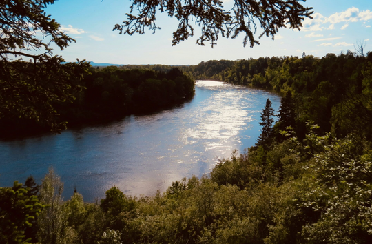 Birdseye view of a winding river alongside forests.