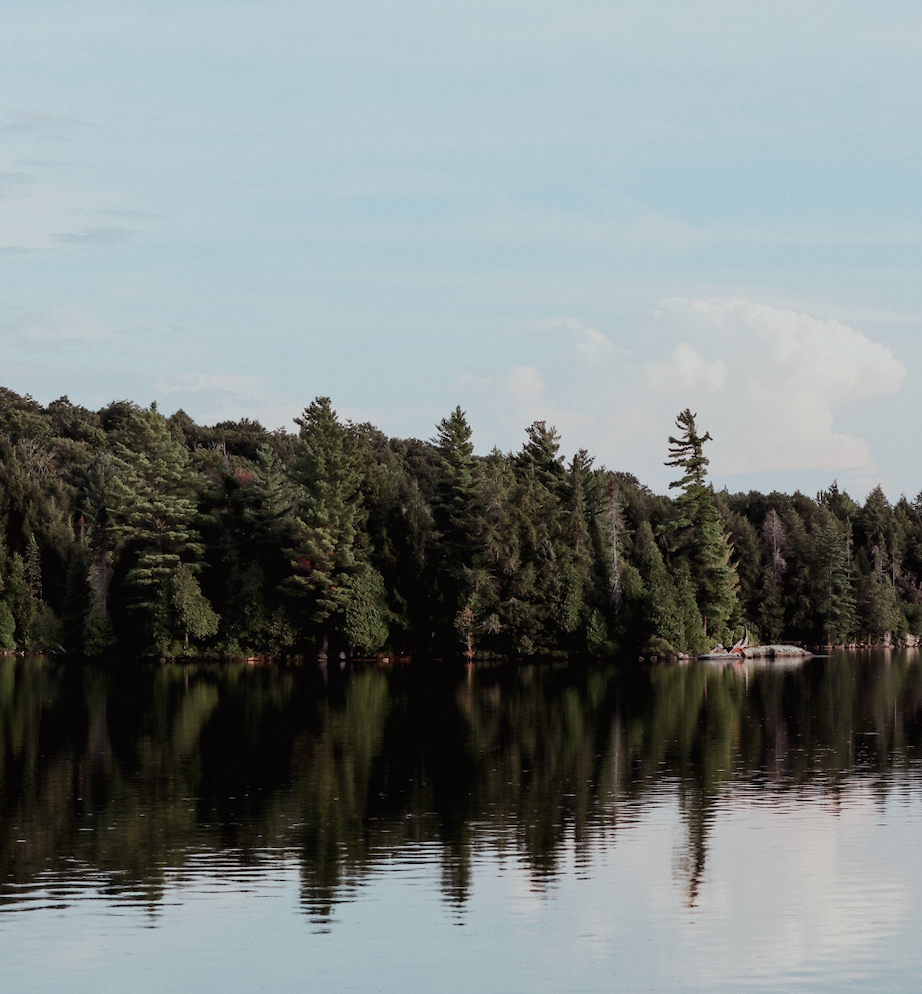 Water reflecting forest and blue sky.